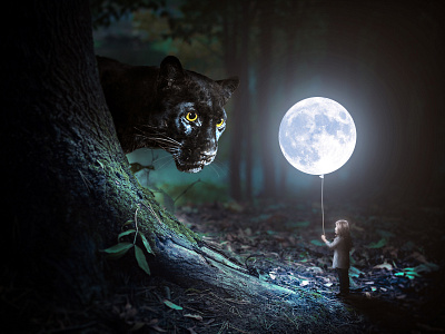 Child and the Black Panther black effect jungle manipulation moon panther photoshop