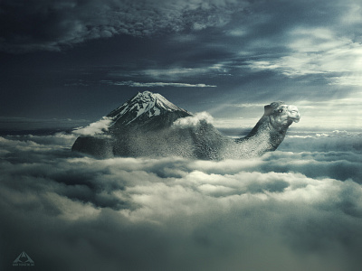 A Camel between the Clouds camel clouds color grading design effect manipulation photoshop