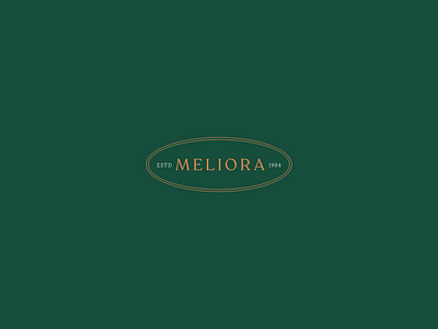 Meliora branding design illustrator logo minimal pastel typography vector