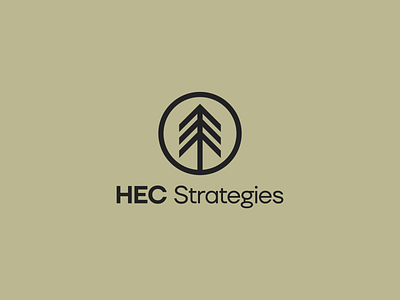HEC Strategies