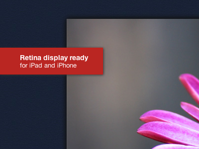 Retina display ready