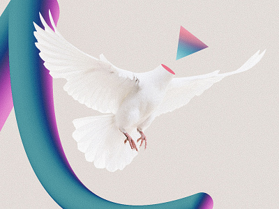 Fly Bird aesthetic shizzz