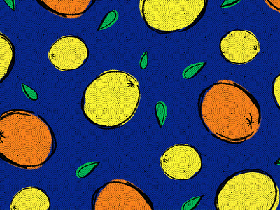 Citrus Illustration