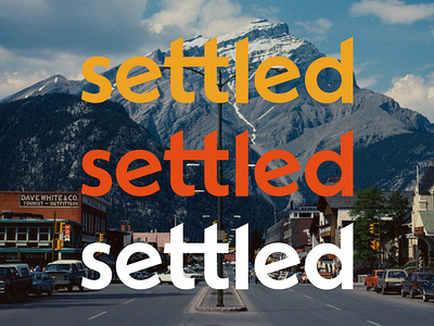 Wordmark for Settled