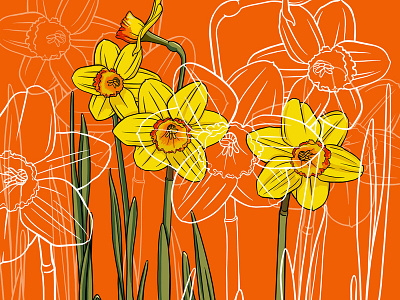 Daffodils - Birth Month Flower for March