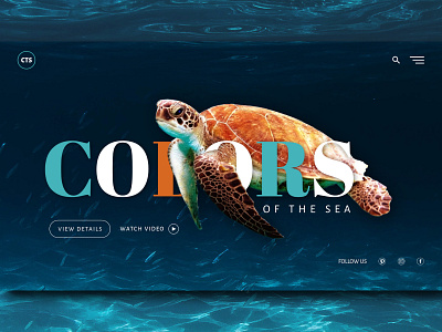 Colors of the sea affinity designer affinitydesign brand brand design design landingpage ui uidesign webdesign