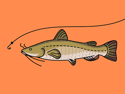 Catch and Release design flat illustration vector web