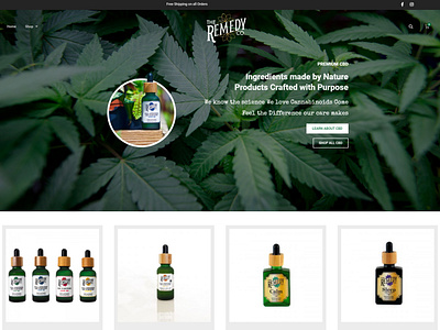 Website design for "The Remedy Care"