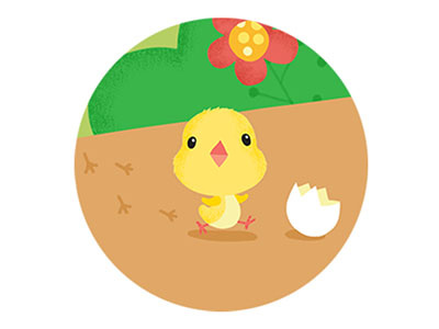 Chick chick illustration illustration for children