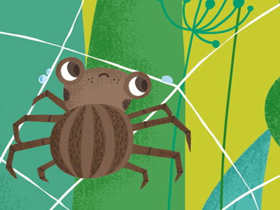 Spider animal cute spider spider illustration