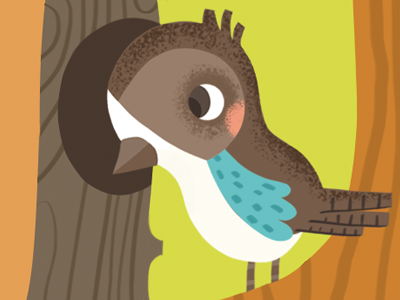 Jaybird bird childrens illustration illustration jaybird jaybird illustration