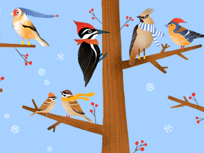 Secret Chrismtas Project! animal illustration bird illustration birds illustration illustrator kidlit kidlitart wildlife winter wip