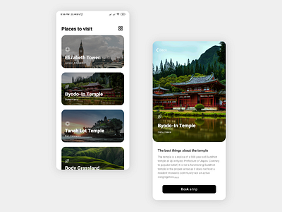 UI design - Trip adviser app application design dribble figma icon design illustration mobile ui product design travel trip ui user interface