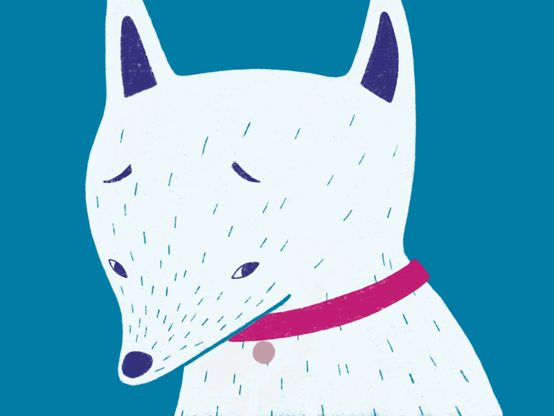 Sad puppy by Aleksandra Duda on Dribbble