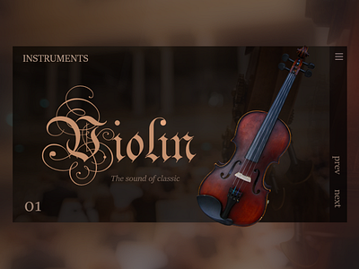 Music Instruments Violin design illustration ui uidesign webdesig