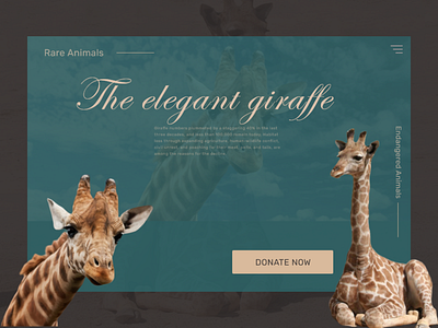 Animals, elegant giraffes donation dailyui design illustration typography ui uidesign ux web webdesig