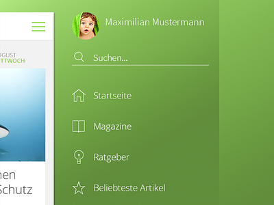 App sidebar (still) in progress - reworked field flat icons ios7 menu navi navigation raptus search