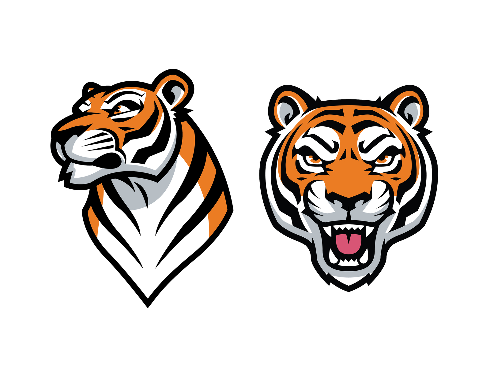 Download Tiger Vector Graphics by Kyle Petchock on Dribbble
