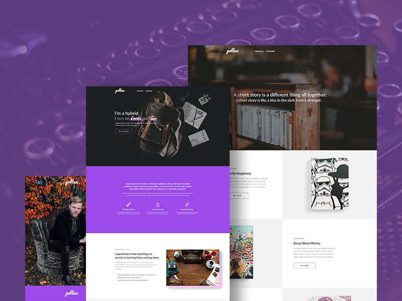 Pollux wordpress template writers creative portfolio