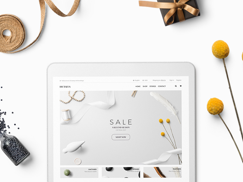 Dictateus shop sale online shop home decoration home accessories decoration accessories