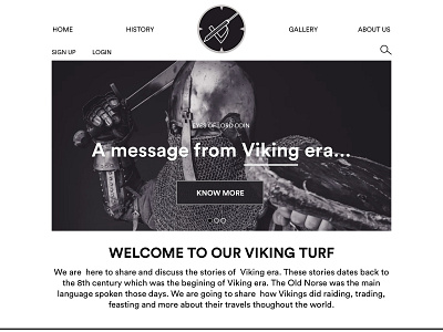 Viking Sharing Stories Website Concept design logo ui ux vector web