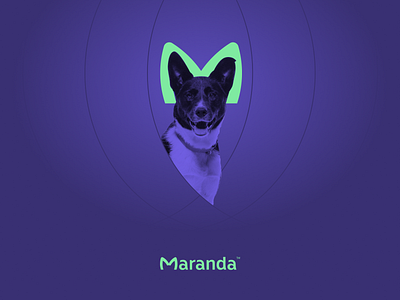 Maranda Brand Direction brand and identity brand design brand direction branding creative direction graphic design logo pet care wordmark wordmark logo