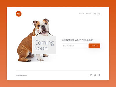 Coming Soon 048 coming soon concept dailyui design pets ui web