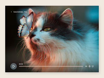 Video Player 057 dailyui design pets ui video player web