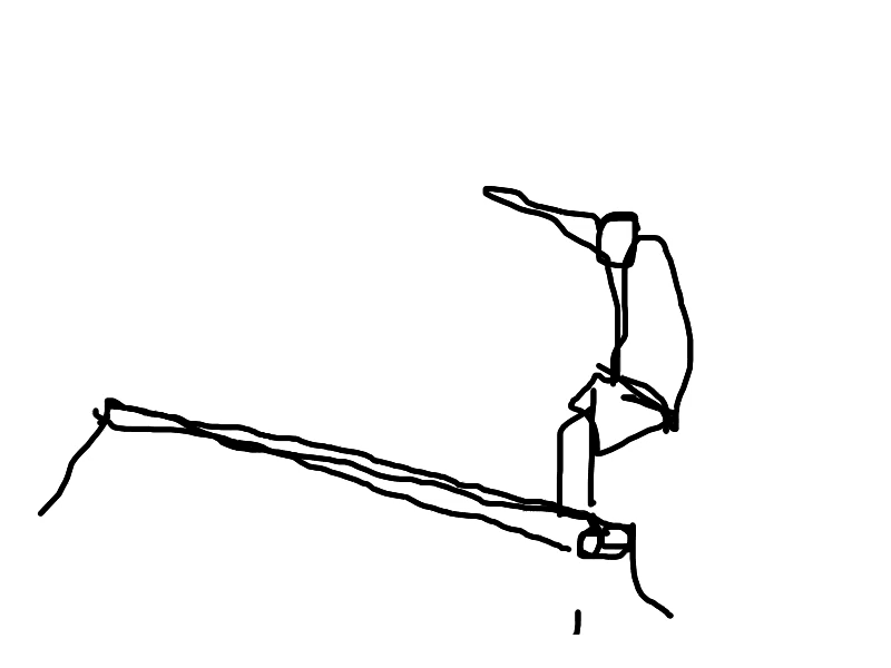 Danny Way Spine Disaster · WCS Münster 1990 animation animation 2d black and white illustration rotoscope skateboarding sports