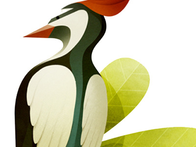 Woodpecker Shot bird illustration woodpecker