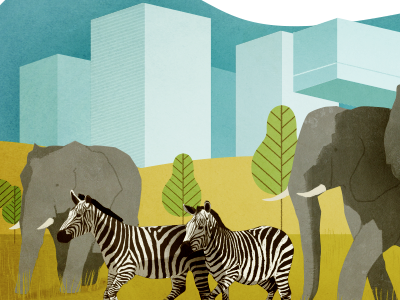 elephants and zebra africa andrew lyons animals illustration savannah