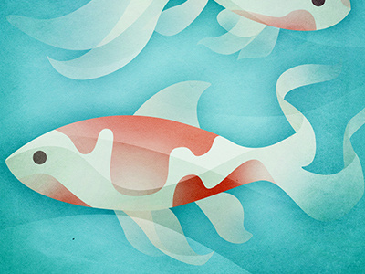 Fish editorial fish illustration textures water