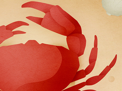 Crab editorial illustration work in progress