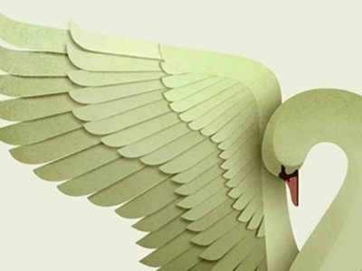Swan bird illustration swan