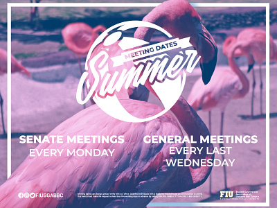 Summer Meeting Dates ball beach dates flamingo flamingos logo meeting meetings pink summer