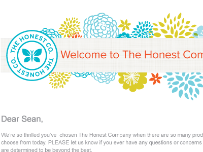 The Honest Comapny - Email Marketing blue email red teal