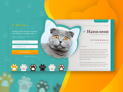 Pets' Ads UI Shot cat design green pets ui webdesign yellow