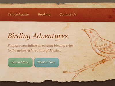 Birding adventures bird design paper website