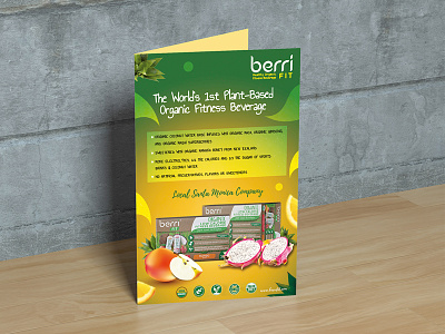 Berri Concept Flyer Design ad advertise advertisement berri branding card design fab flyer flyer flyer design flyers icon illustration post card