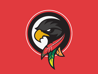 Blackhawks blackhawks chicago hawks hockey logo nhl rebrand sports