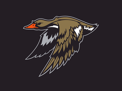 Ducks anaheim concept design ducks hockey logo nhl rebranding