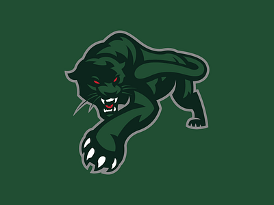 Panthers branding logo panthers sports