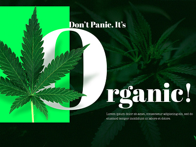 Marijuana UI landing page design landing page ui uidesign web website design
