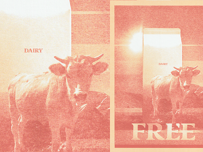 DAIRY-FREE alps collage cow cutout diary-free freedom milk mountains poster print scanning texture