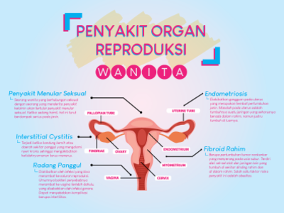 Penyakit Organ Reproduksi Wanita [Infografis] adobe illustrator design edit flat indonesia infografis infographic jakarta smkn 48 jakarta vector