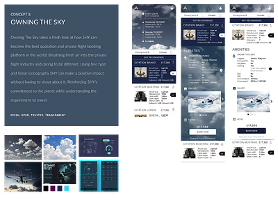 Aviation Look & Feel concept 3