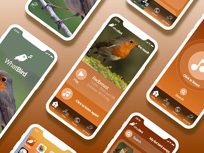 WhatBird App 00 - Shazam of Bird Songs app brand identity branding design figma graphic design interface logo mockup ui ux uxuidesign weezer works