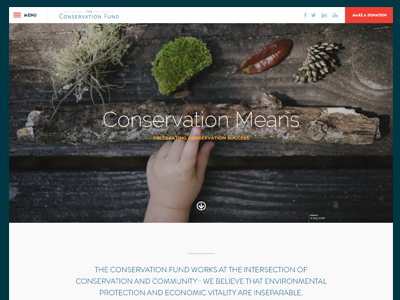 The Conservation Fund Concept branding clean concept design flat landing page minimal page layout responsive ui ux web design