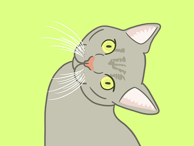 River animal art cat illustration procreate