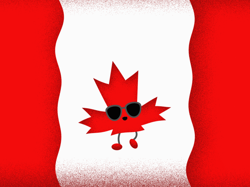 Happy Canada Day animation canada canada day mograph vector animation